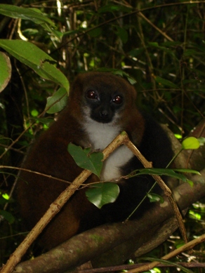 ../Images/Madagaskar, 25.05.-10.06.07, Foto (155).JPG